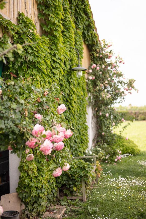 La Casa Vecchia B&B Camisano Vicentino Екстер'єр фото